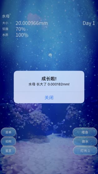 养育水母的治愈游戏4