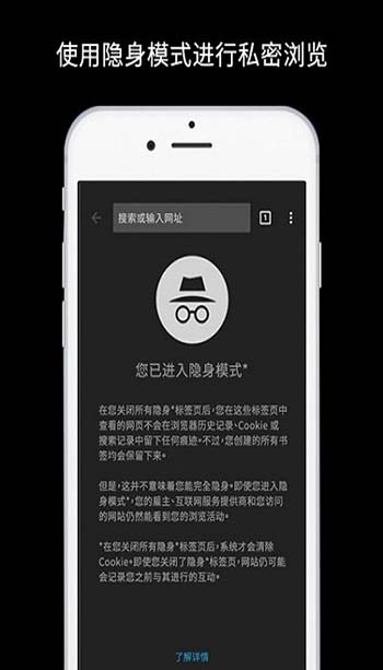 谷歌chrome浏览器安卓版(4)