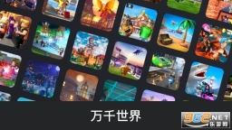 roblox国际版(3)