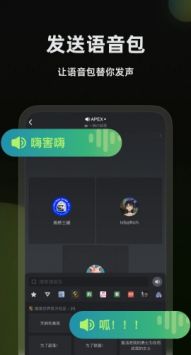 黑盒语音(2)