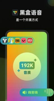 黑盒语音(3)