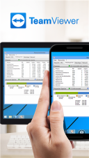teamviewer(1)