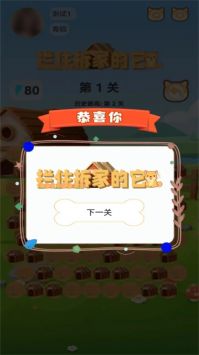 拦住拆家的它4