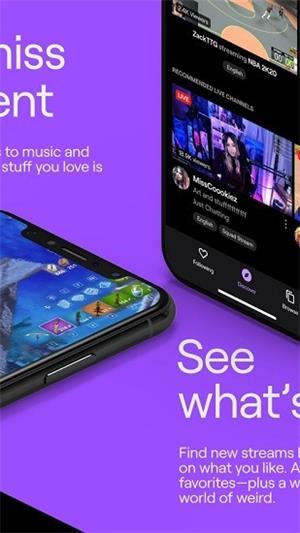twitch图3