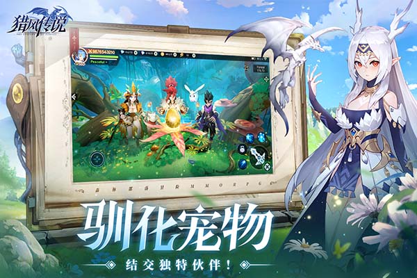 猎风传说最新版(2)