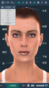Human body(1)