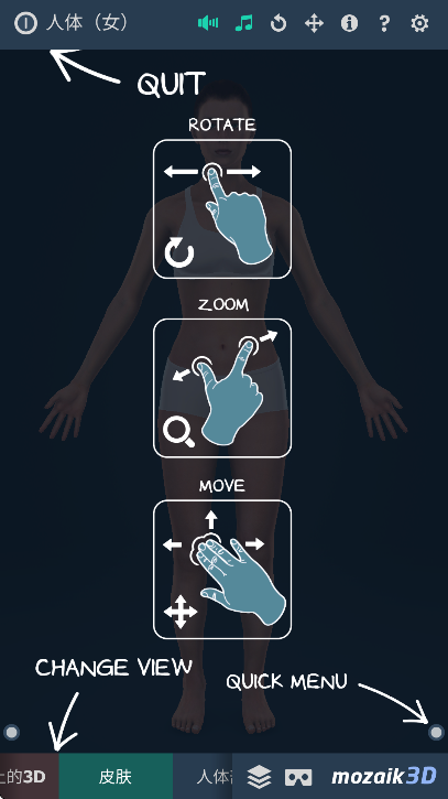 Human body(4)