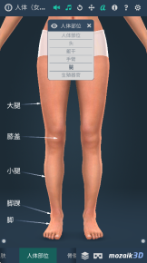 Human body(3)