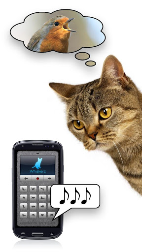 人猫交流器图3