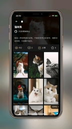 纸塘壁纸(3)