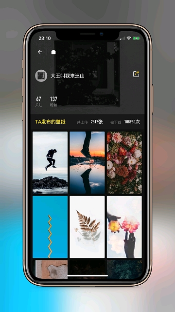 纸塘壁纸(2)