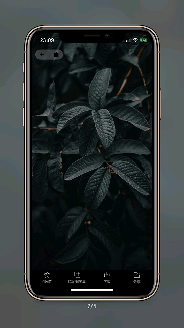 纸塘壁纸(1)