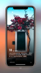 纸塘壁纸(4)