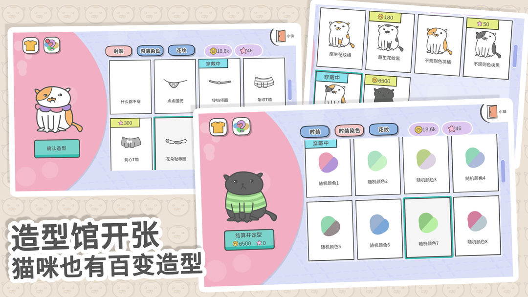 主播和猫的故事图4