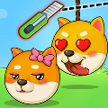 菜狗闯关 V1.0.1