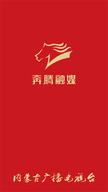 奔腾融媒(4)