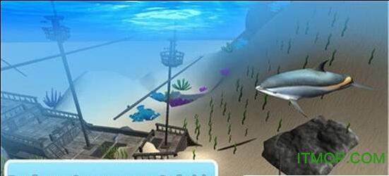 海洋海豚模拟器