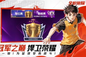 全职荣耀图2