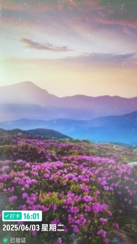 工程水印相机打卡拍照图2