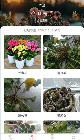 识花君植物识别(1)