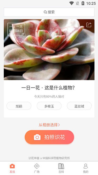 识花君植物识别(2)