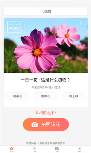 识花君植物识别(3)