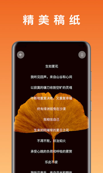 桔子日记(3)