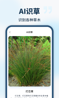 AI智能助手图3