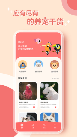 鹦鹉翻译器图2