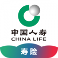 人寿保险车险