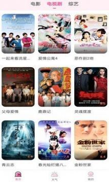 花儿影视2025最新版(3)