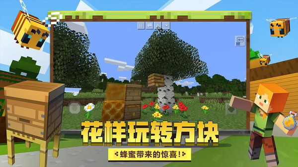 我的世界中国版(2)
