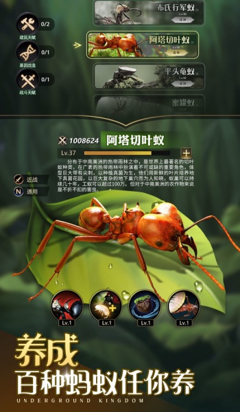 小小蚁国37官网版