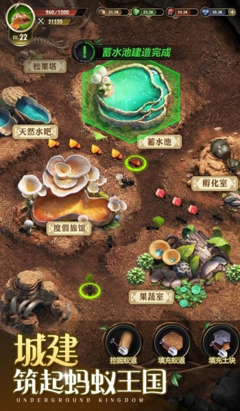 小小蚁国37官网版