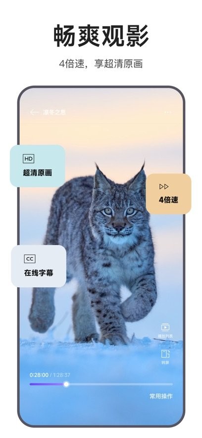 迅雷浏览器
