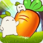 暖心小院子无广告版