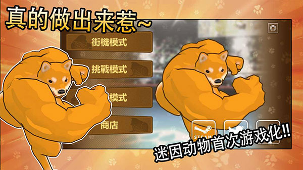 动物之斗官方版