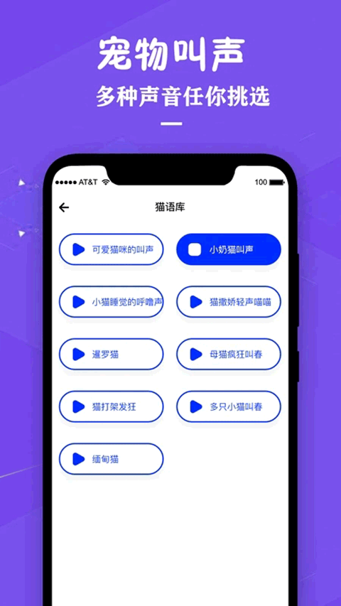 猫咪宠物翻译器(4)