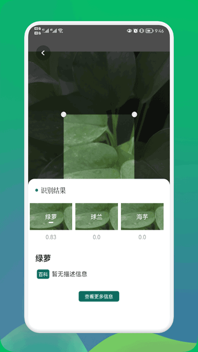 小园丁正版(2)