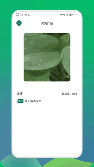 小园丁正版(3)