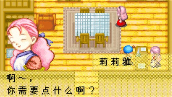 牧场物语矿石镇的伙伴们女孩版图3
