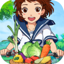 新小森生活最新版