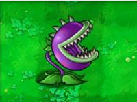 植物大战僵尸北美汉化版