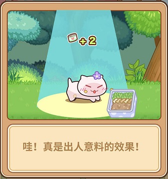 猫旅馆物语最新版