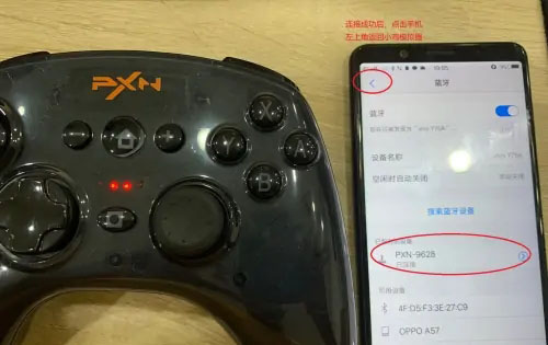 小鸡模拟器正版