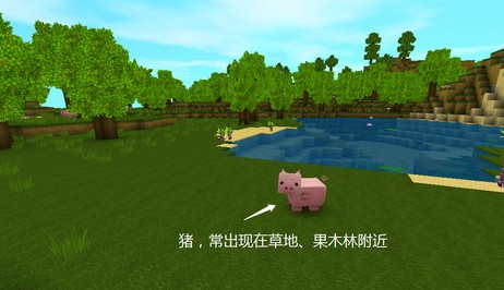迷你世界不用实名认证版