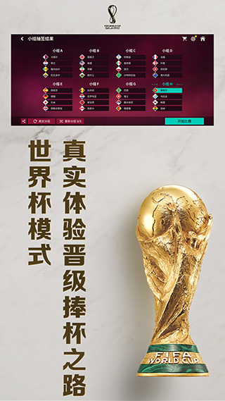 FIFA足球世界杯2025