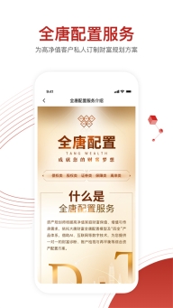 大唐财富(1)