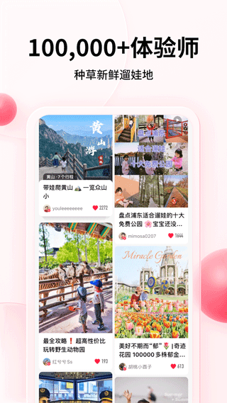 彩贝壳(5)