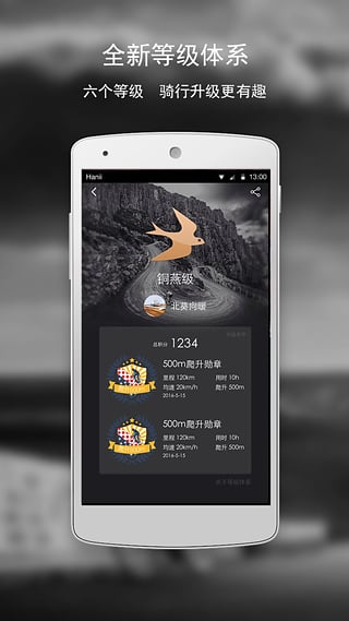 黑鸟单车图2